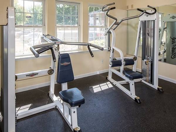 Animal lover? This is the purrfect place for you! We are pet friendly! - apts/housing for rent - apartment rent -...