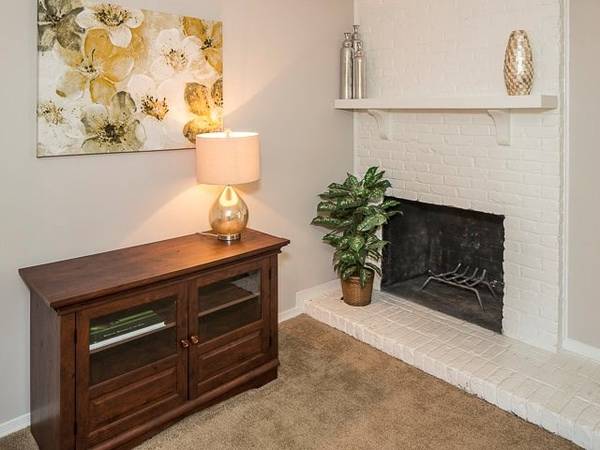 Animal lover? This is the purrfect place for you! We are pet friendly! - apts/housing for rent - apartment rent -... picture
