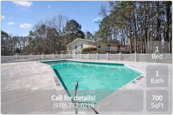 This is it! The ideal 1 bed 1 bath! Close distance to the campus - apts/housing for rent - apartment rent picture