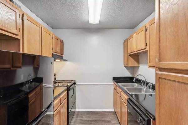 This is it! The ideal 1 bed 1 bath! Close distance to the campus - apts/housing for rent - apartment rent picture