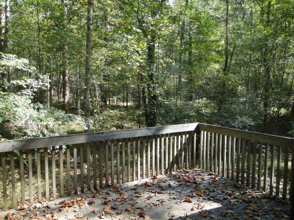 Charming Trinity Park Home in a Prime Durham Location - apts/housing for rent - apartment rent picture