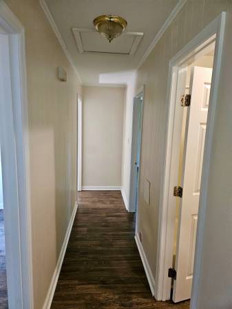 3 BEDROOM 1.5 BATH HOME WITH GAZEBO &amp; PRIVATE BALCONY DECK - apts/housing for rent - apartment rent picture
