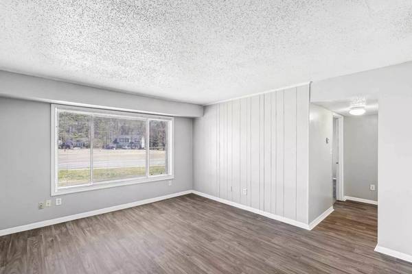 Dog and Cat-Friendly 800 SqFt 2 Bed / 1 Bath! Pets Welcome Here! - apts/housing for rent - apartment rent picture