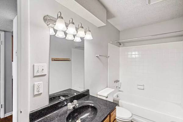 Dog and Cat-Friendly 800 SqFt 2 Bed / 1 Bath! Pets Welcome Here! - apts/housing for rent - apartment rent picture