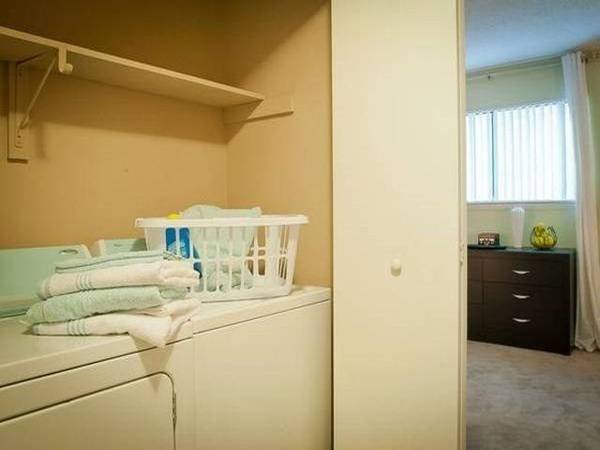 Looking for a beautiful space? You've come to the right place! - apts/housing for rent - apartment rent picture