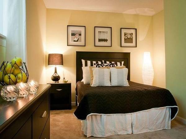 Looking for a beautiful space? You've come to the right place! - apts/housing for rent - apartment rent picture