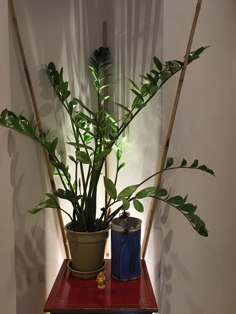 Omni Wellness picture