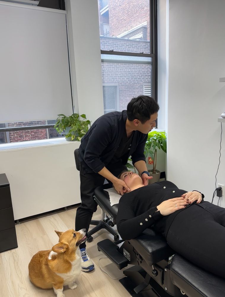 Link Chiropractic picture