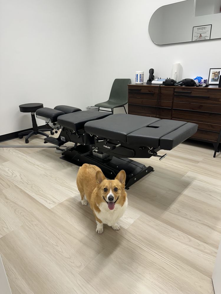 Link Chiropractic picture