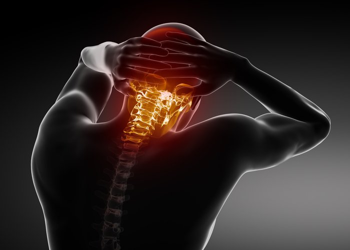 Loyola Physical Therapy picture