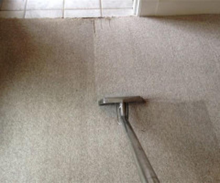 Nelson Carpet Cleaning picture