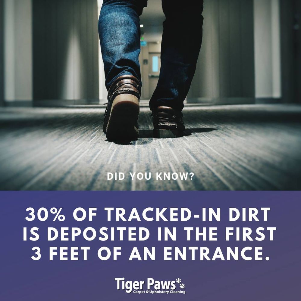 Tiger Paws Carpet &amp; Upholstery Cleaning picture