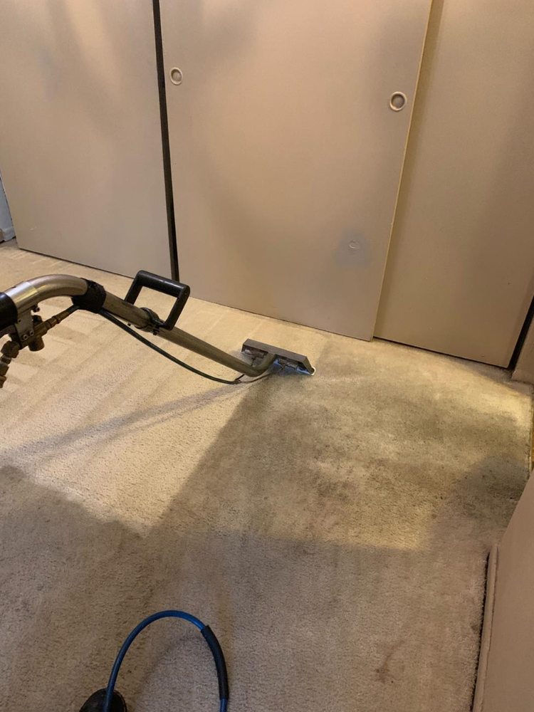 Tiger Paws Carpet &amp; Upholstery Cleaning picture