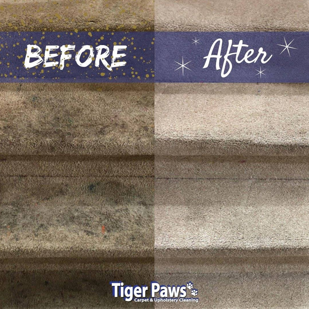 Tiger Paws Carpet &amp; Upholstery Cleaning picture