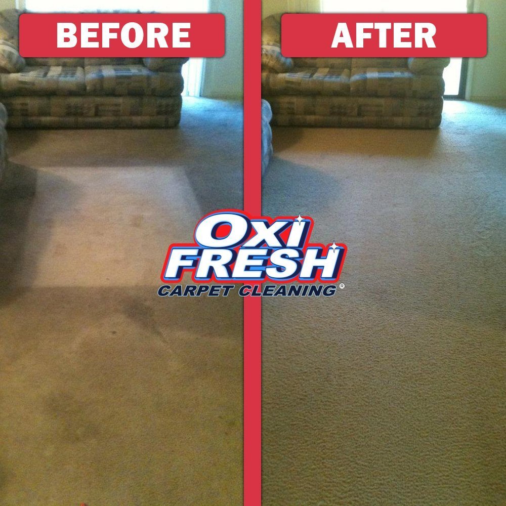 Oxi Fresh Carpet Cleaning picture