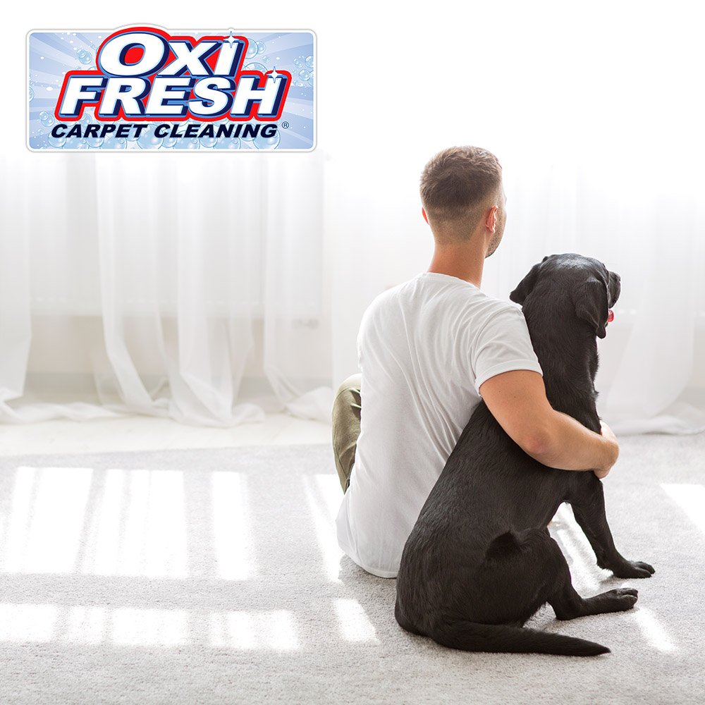 Oxi Fresh Carpet Cleaning picture