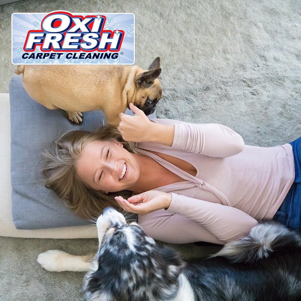 Oxi Fresh Carpet Cleaning picture