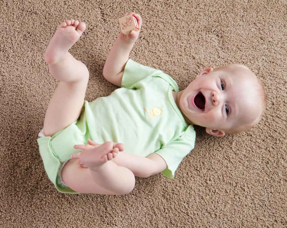 Oxi Fresh Carpet Cleaning picture
