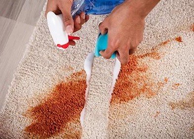 A-1 Carpet Cleaners picture