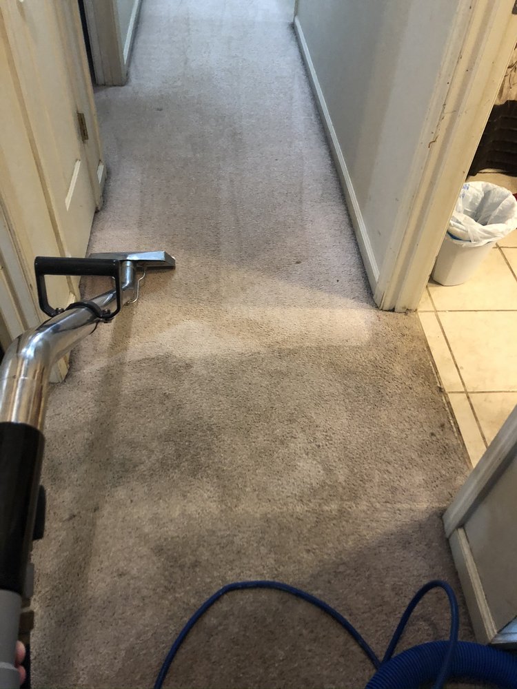 Great Day Carpet &amp; Tile Cleaning picture
