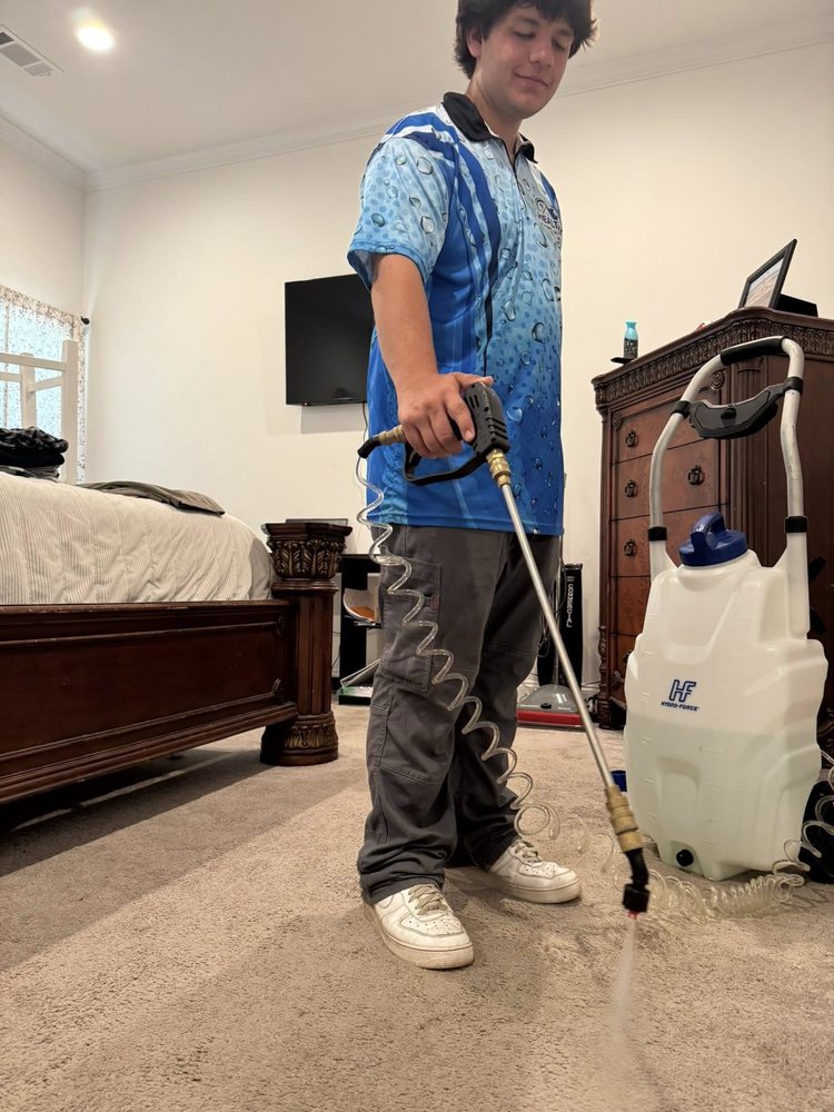 Healthy Home Services picture