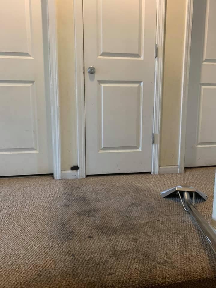 901 Steam Cleaning picture