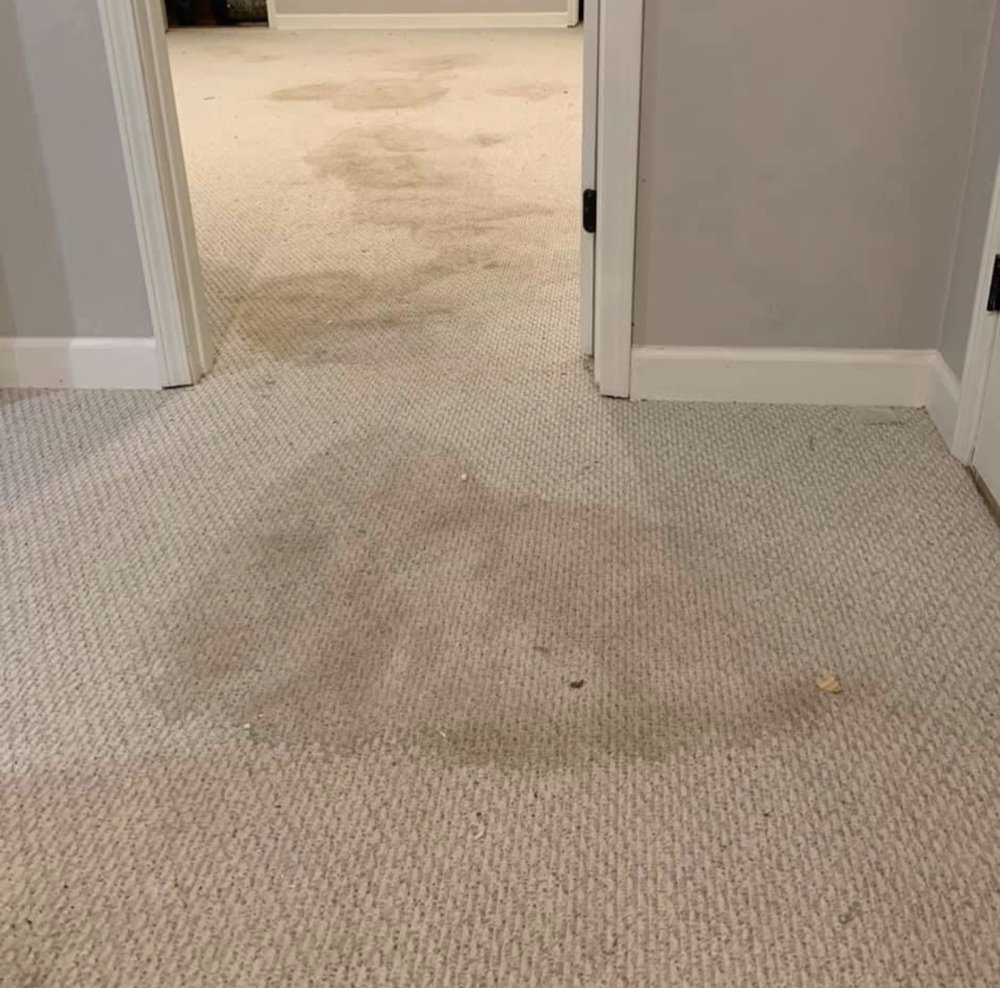 901 Steam Cleaning picture