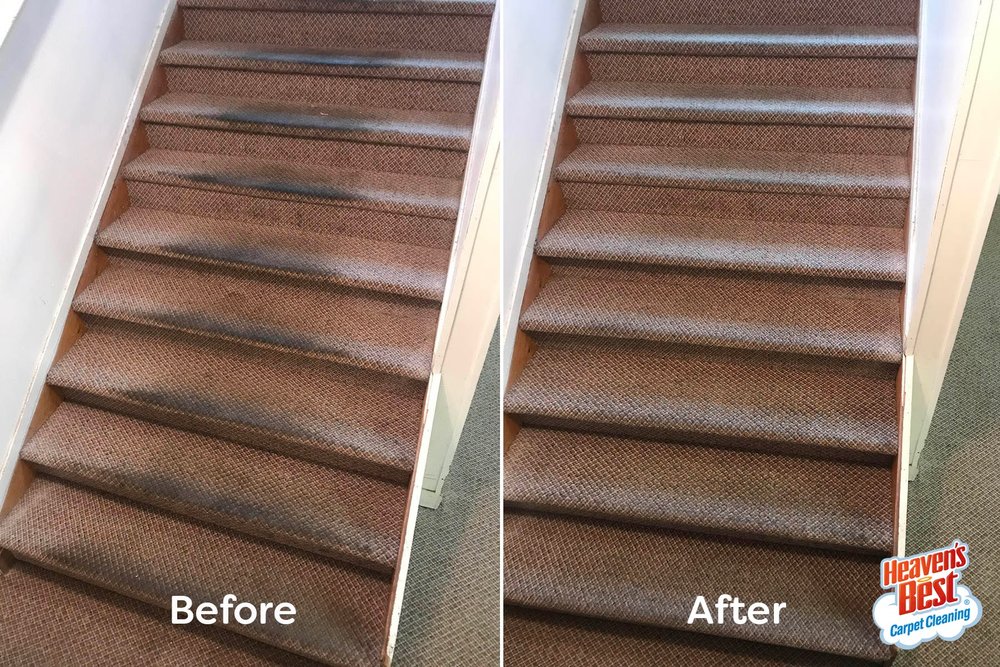 Heaven's Best Carpet Cleaning picture