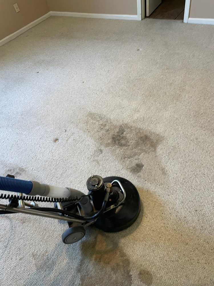 Marsinelli's Cleaning Service picture