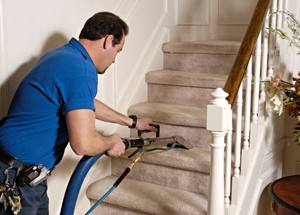 Marsinelli's Cleaning Service picture