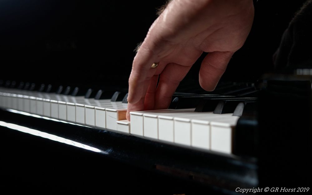 GR Horst Piano Tuning &amp; Servicing picture