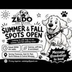 Zedo Dogs – Dog Walking in Winnipeg | Summer & Fall Spots Open (Winnipeg)